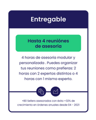 4 horas de consultoría en Ecommerce